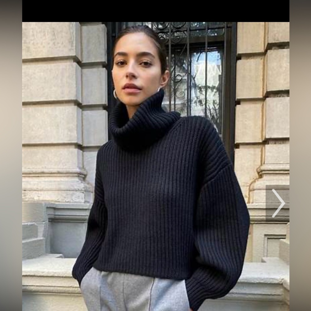 NWT NEW Aritzia Black Merino Wool Guell Sweater boxy turtleneck ribbed knit XS